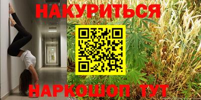 прущие грибы Краснодар